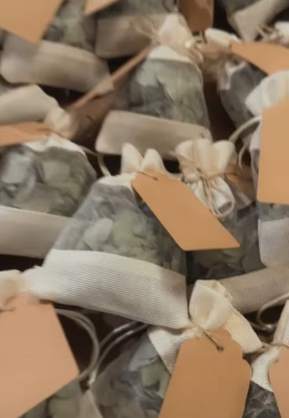 Eucalyptus Potpourri